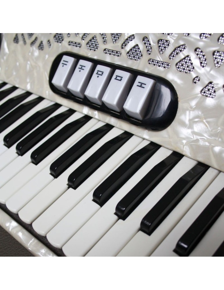 Accordion 1 Bandon YS