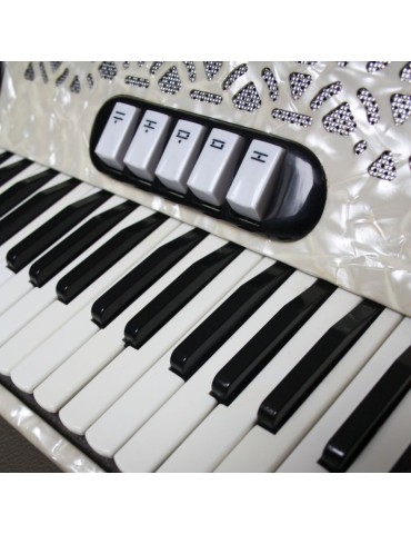 Accordion 2 Harmonium YS