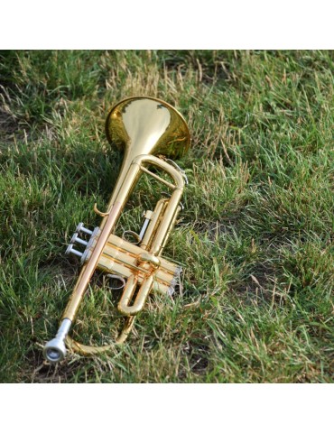 Trumpet Serbian YS