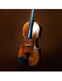 Violin Stradivari YS