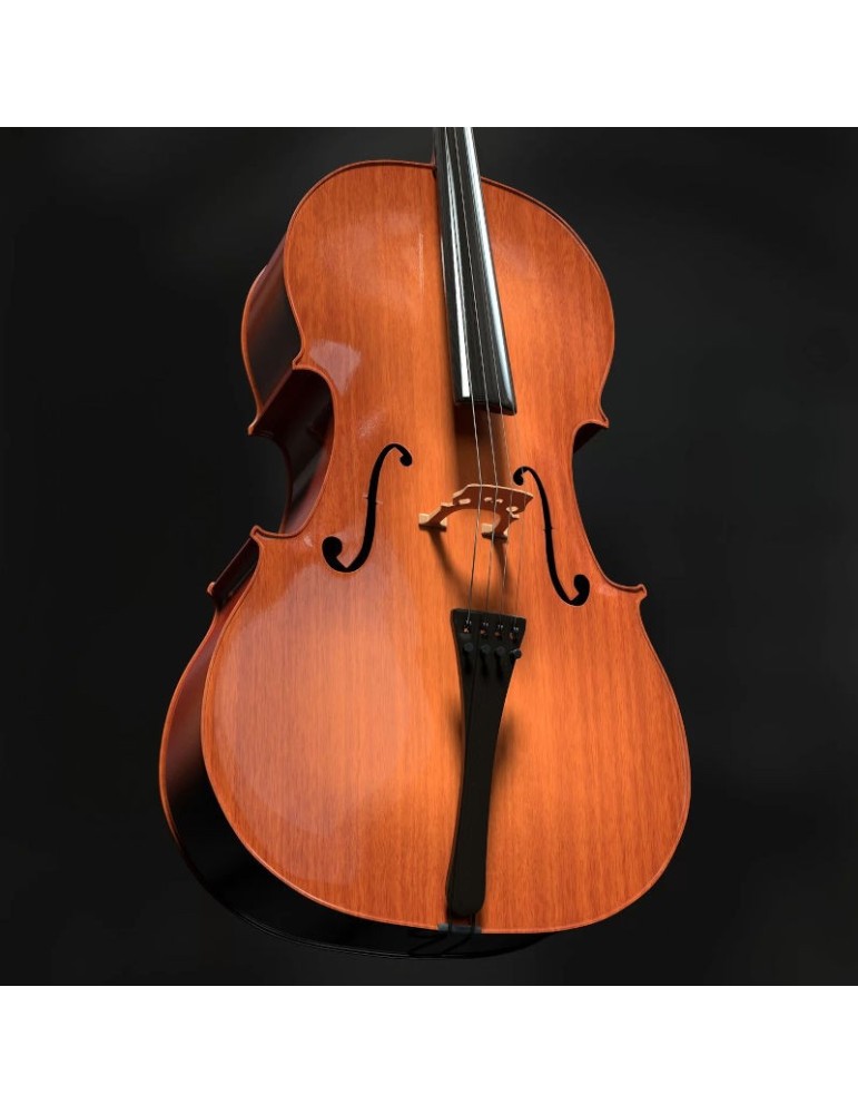 Violoncello YS