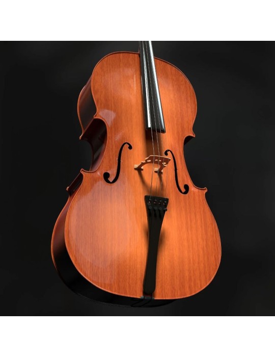 Violoncello YS Violoncello YS