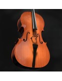 Violoncello YS