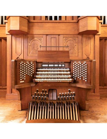 Organ Harmonium YS